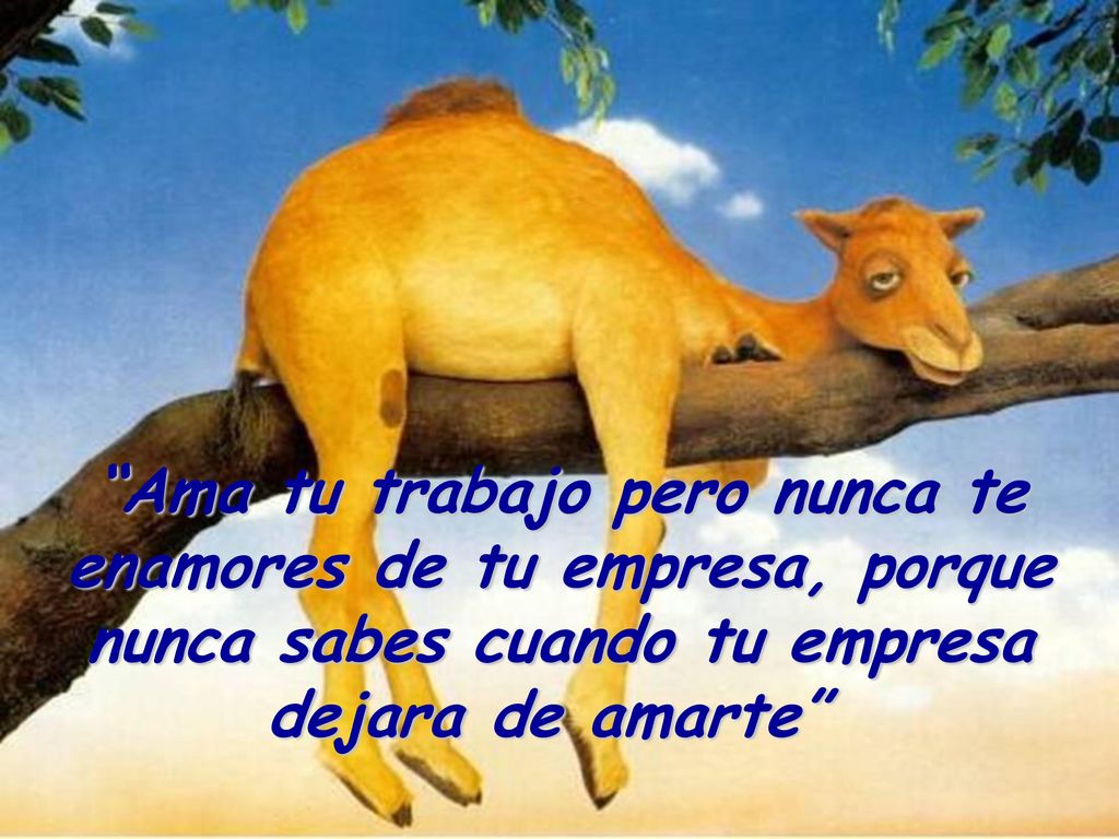 Ama tu trabajo pero nunca te enamores de tu empresa, porque nunca sabes cuando tu empresa dejara de amarte