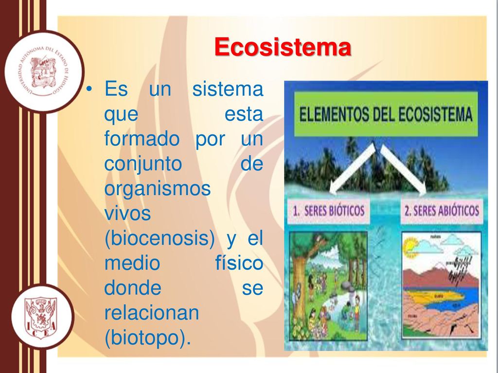 Ecosistema Es un sistema que esta formado por un conjunto de organismos vivos (biocenosis) y el medio físico donde se relacionan (biotopo).