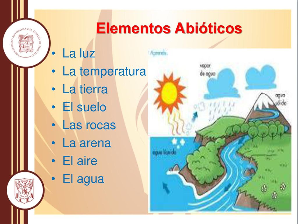 Elementos Abióticos La luz La temperatura La tierra El suelo Las rocas