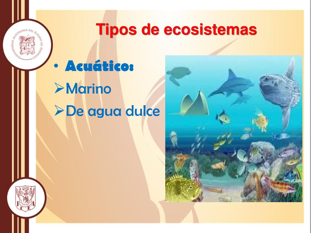 Tipos de ecosistemas Acuático: Marino De agua dulce