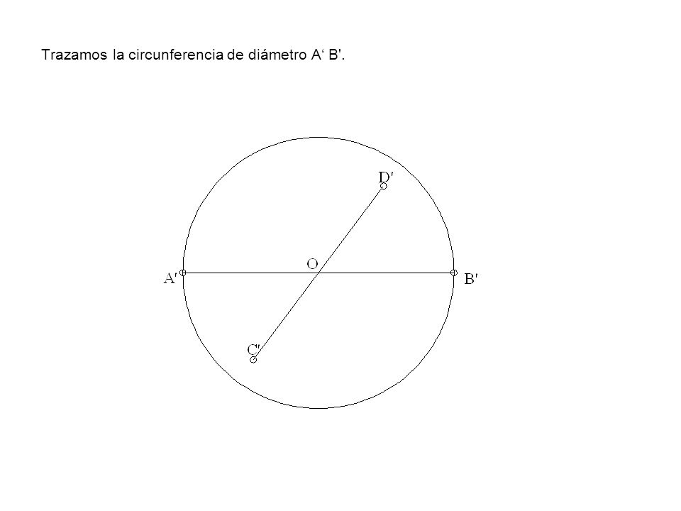 Trazamos la circunferencia de diámetro A‘ B .