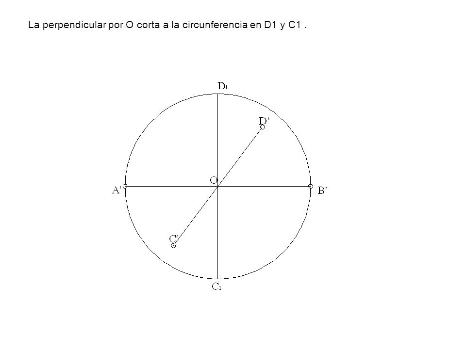 La perpendicular por O corta a la circunferencia en D1 y C1 .