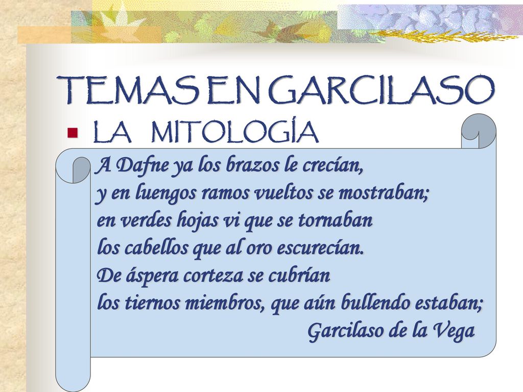 TEMAS EN GARCILASO A Dafne ya los brazos le crecían,