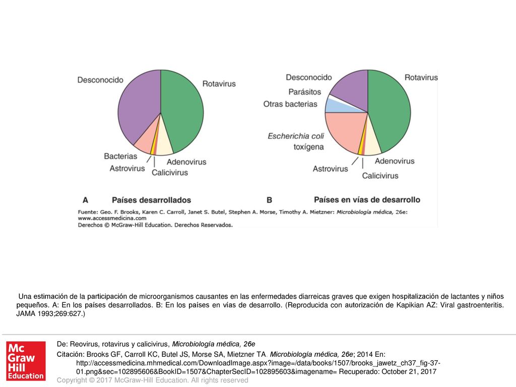 Una estimación de la participación de microorganismos causantes en las enfermedades diarreicas graves que exigen hospitalización de lactantes y niños pequeños. A: En los países desarrollados. B: En los países en vías de desarrollo. (Reproducida con autorización de Kapikian AZ: Viral gastroenteritis. JAMA 1993;269:627.)