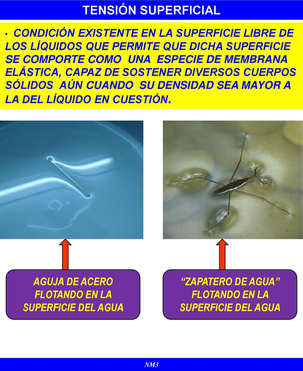 TENSIÓN SUPERFICIAL AGUJA DE ACERO FLOTANDO EN LA SUPERFICIE DEL AGUA