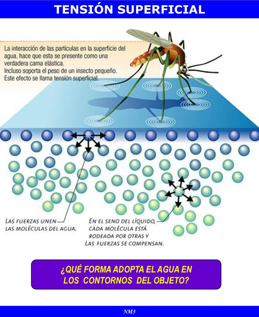 ¿QUÉ FORMA ADOPTA EL AGUA EN LOS CONTORNOS DEL OBJETO