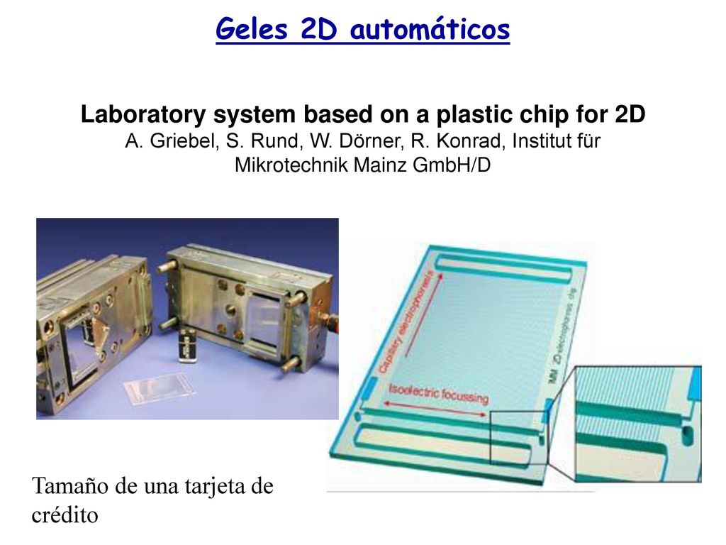 Geles 2D automáticos Laboratory system based on a plastic chip for 2D A. Griebel, S. Rund, W. Dörner, R. Konrad, Institut für Mikrotechnik Mainz GmbH/D