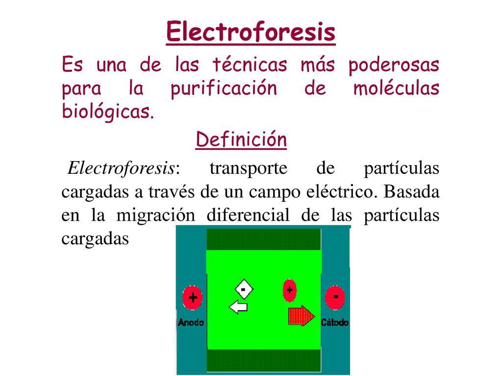 Electroforesis Es una de las técnicas más poderosas para la purificación de moléculas biológicas. Definición.