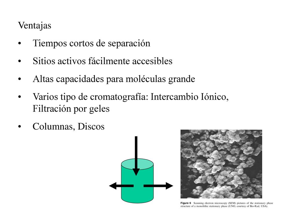 Ventajas Tiempos cortos de separación. Sitios activos fácilmente accesibles. Altas capacidades para moléculas grande.