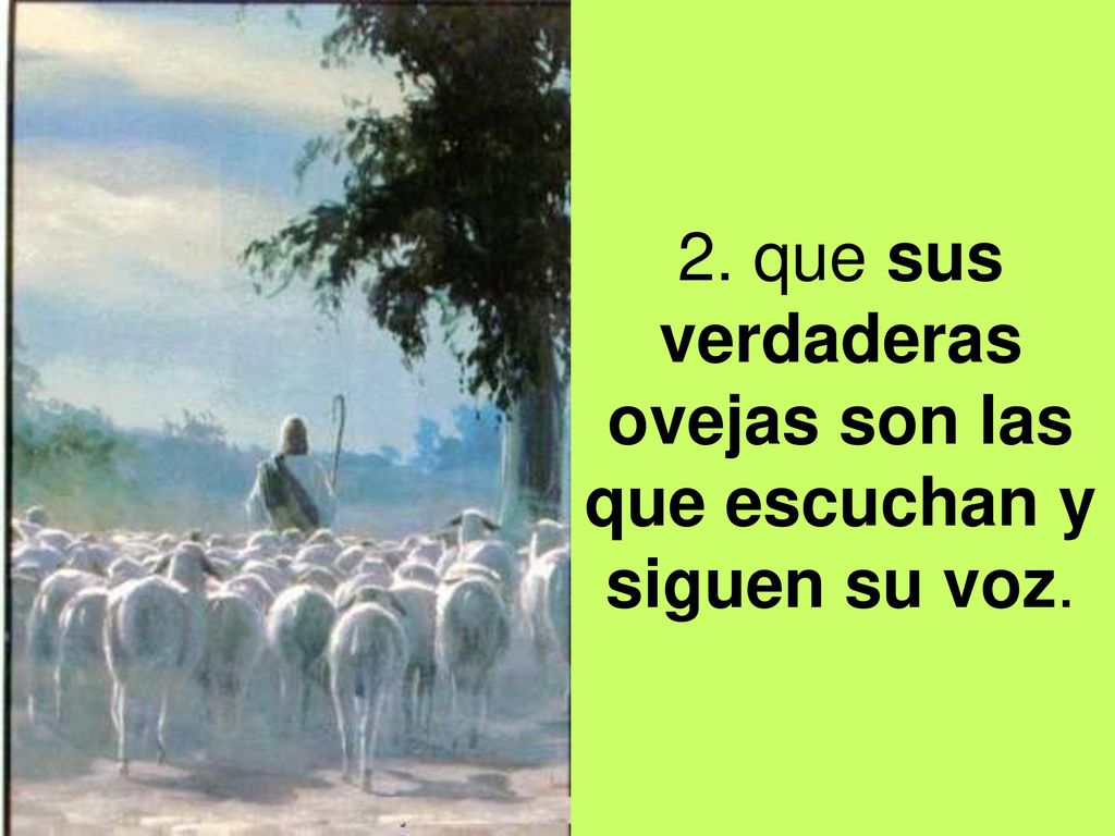 2. que sus verdaderas ovejas son las que escuchan y siguen su voz.