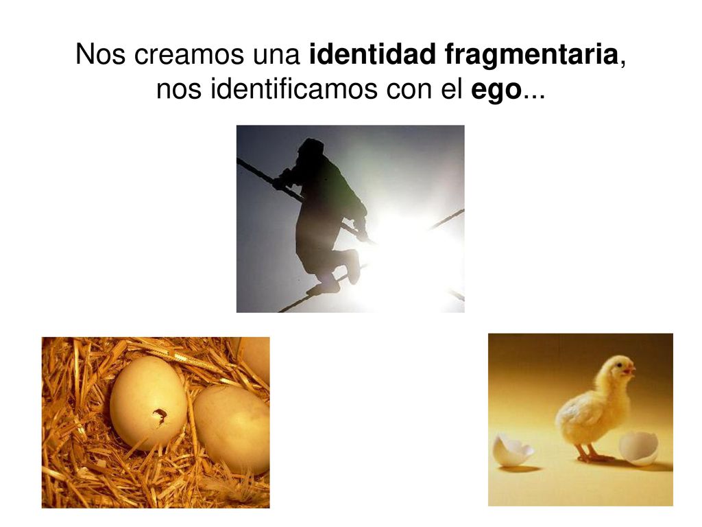 Nos creamos una identidad fragmentaria, nos identificamos con el ego...