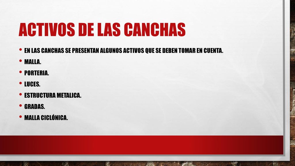 Activos de las canchas En las canchas se presentan algunos activos que se deben tomar en cuenta. Malla.