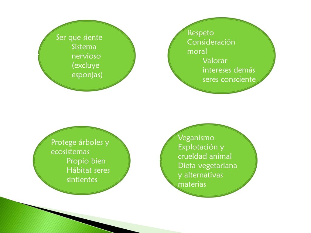 Respeto Consideración moral. Valorar intereses demás seres consciente. Ser que siente. Sistema nervioso (excluye esponjas)