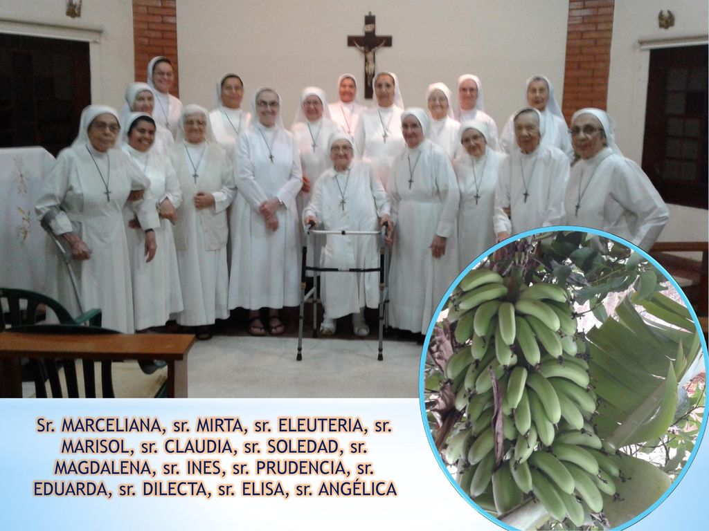 Sr. MARCELIANA, sr. MIRTA, sr. ELEUTERIA, sr. MARISOL, sr. CLAUDIA, sr