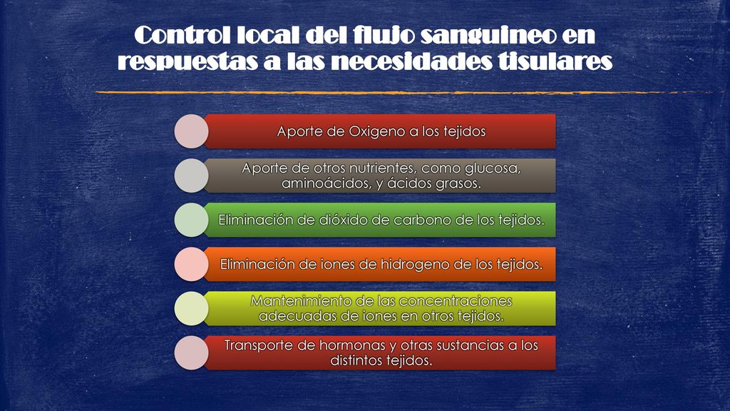Control local del flujo sanguineo en respuestas a las necesidades tisulares