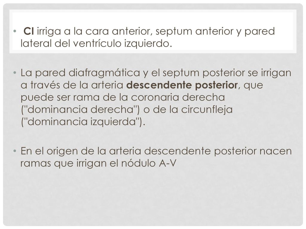 CI irriga a la cara anterior, septum anterior y pared lateral del ventrículo izquierdo.