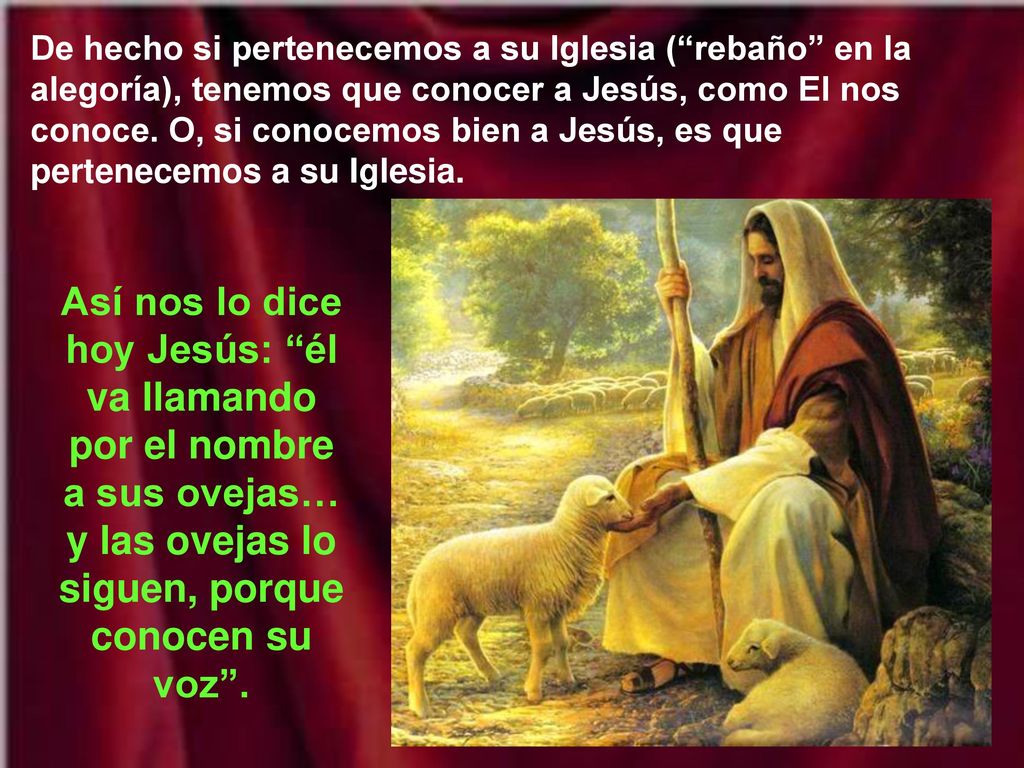 De hecho si pertenecemos a su Iglesia ( rebaño en la alegoría), tenemos que conocer a Jesús, como El nos conoce. O, si conocemos bien a Jesús, es que pertenecemos a su Iglesia.