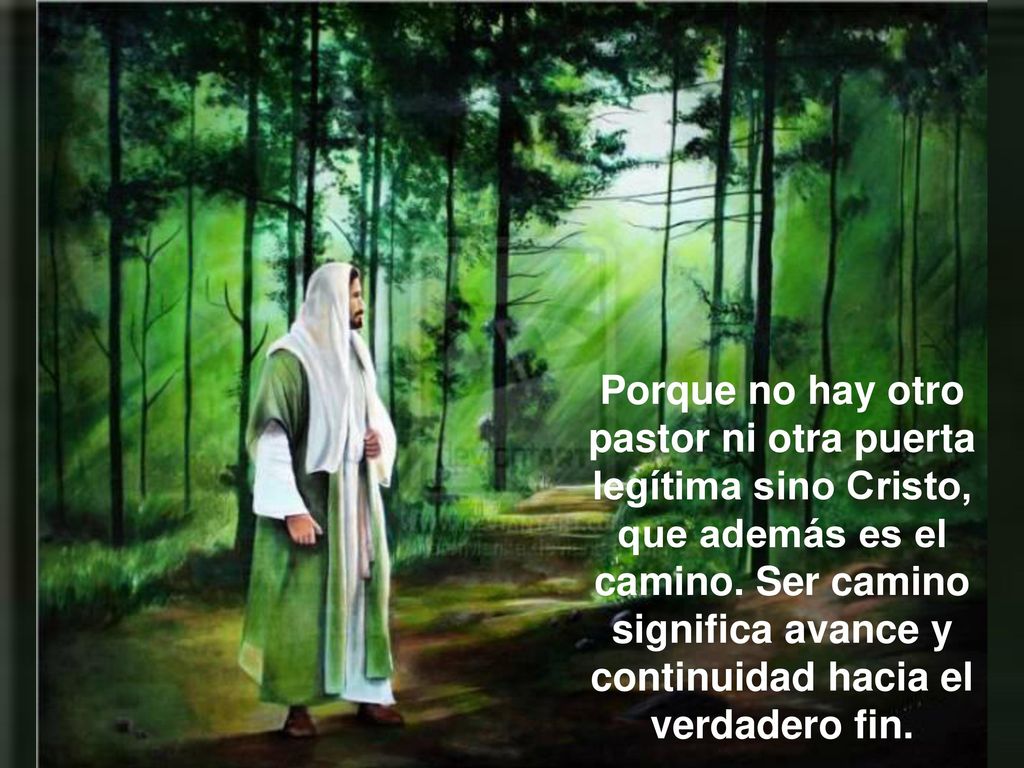 Porque no hay otro pastor ni otra puerta legítima sino Cristo, que además es el camino.