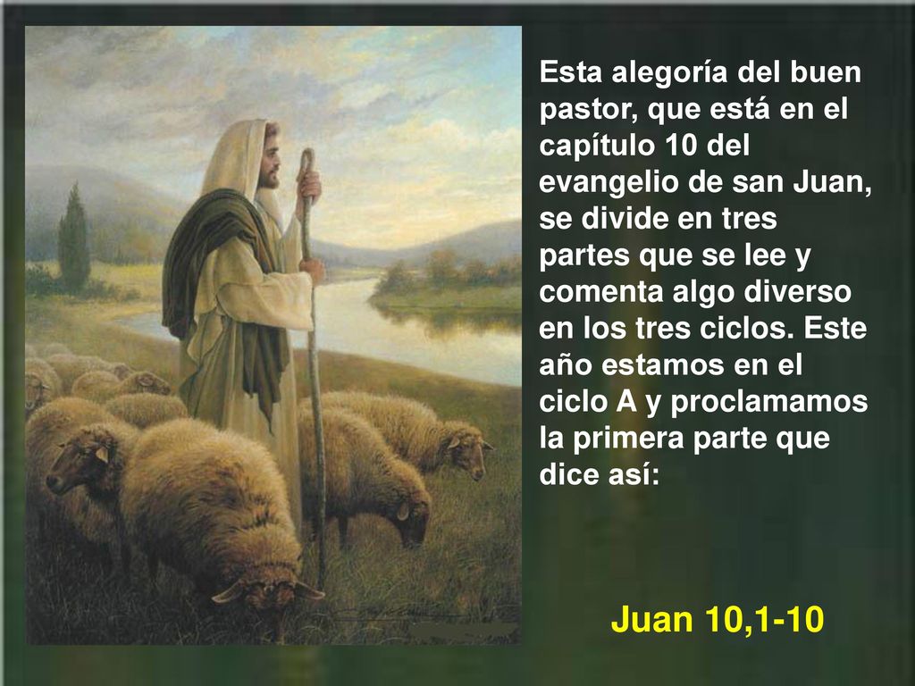 Esta alegoría del buen pastor, que está en el capítulo 10 del evangelio de san Juan, se divide en tres partes que se lee y comenta algo diverso en los tres ciclos. Este año estamos en el ciclo A y proclamamos la primera parte que dice así: