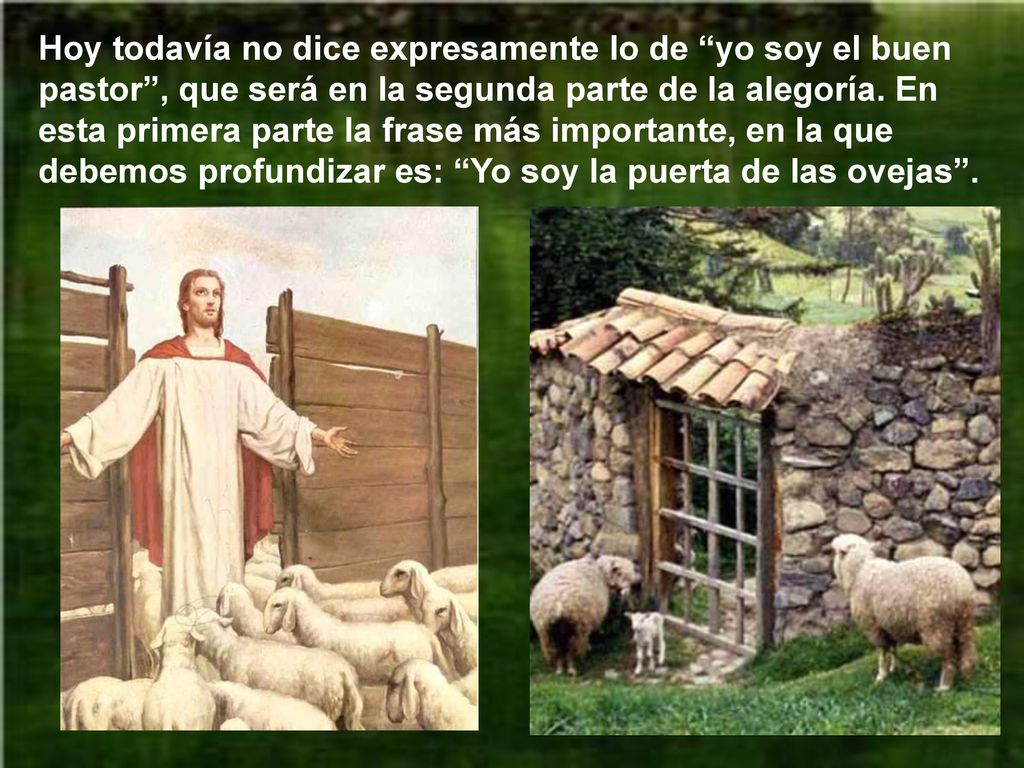 Hoy todavía no dice expresamente lo de yo soy el buen pastor , que será en la segunda parte de la alegoría.