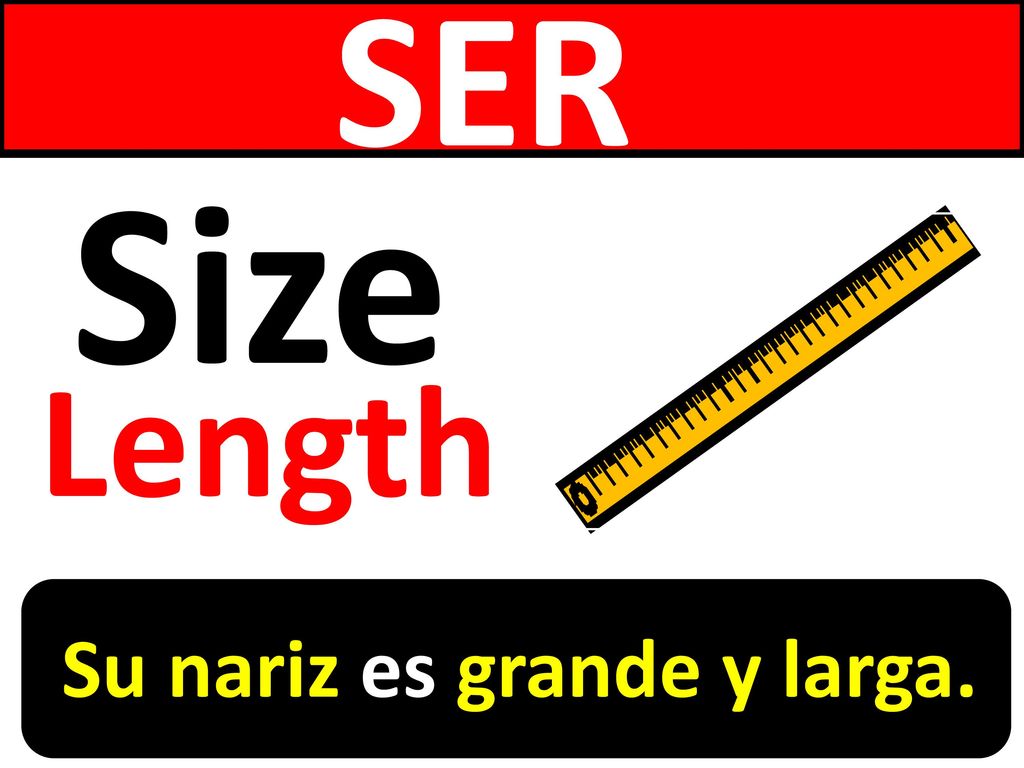SER Size Length Su nariz es grande y larga.