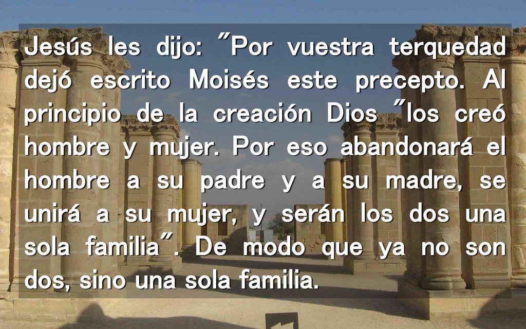 Jesús les dijo: Por vuestra terquedad dejó escrito Moisés este precepto.