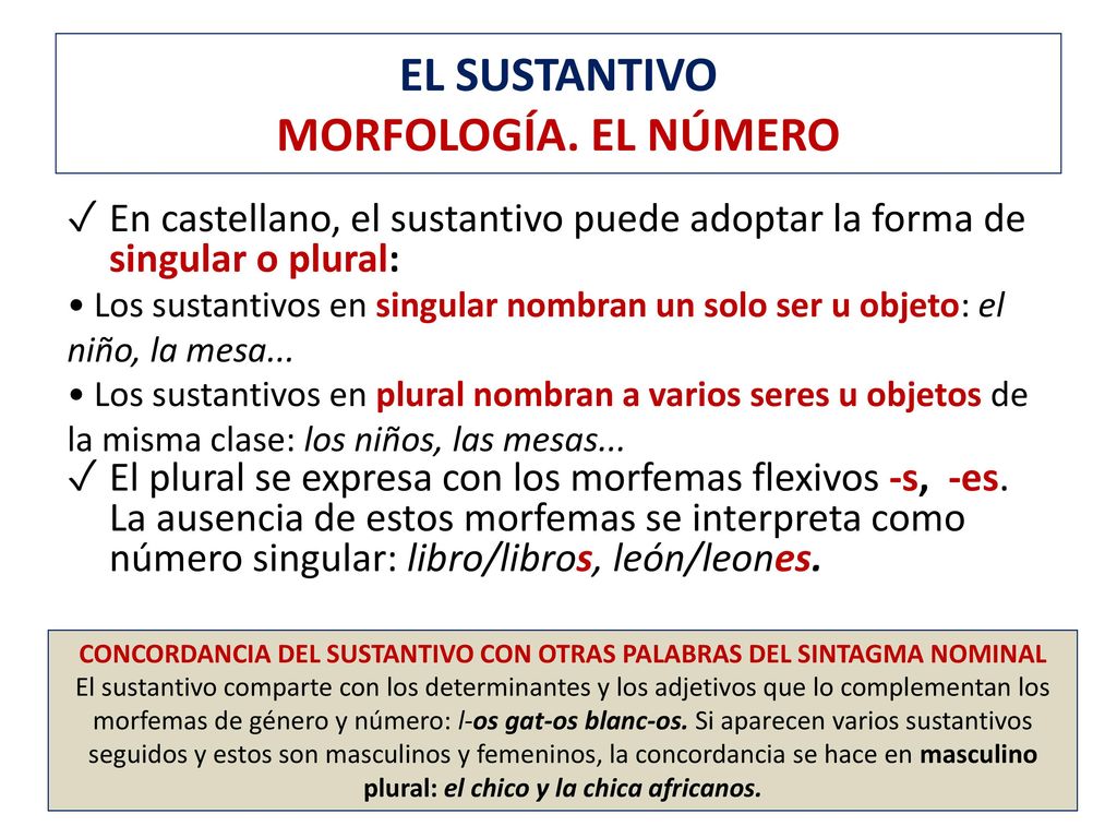 CONCORDANCIA DEL SUSTANTIVO CON OTRAS PALABRAS DEL SINTAGMA NOMINAL