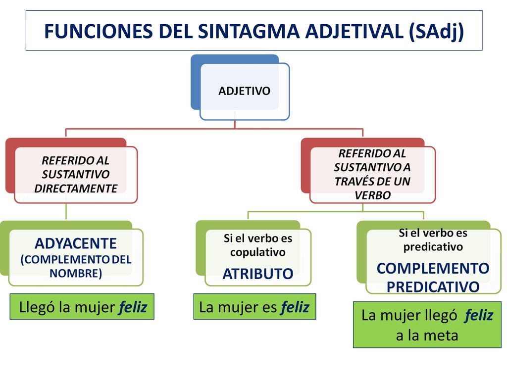 FUNCIONES DEL SINTAGMA ADJETIVAL (SAdj)