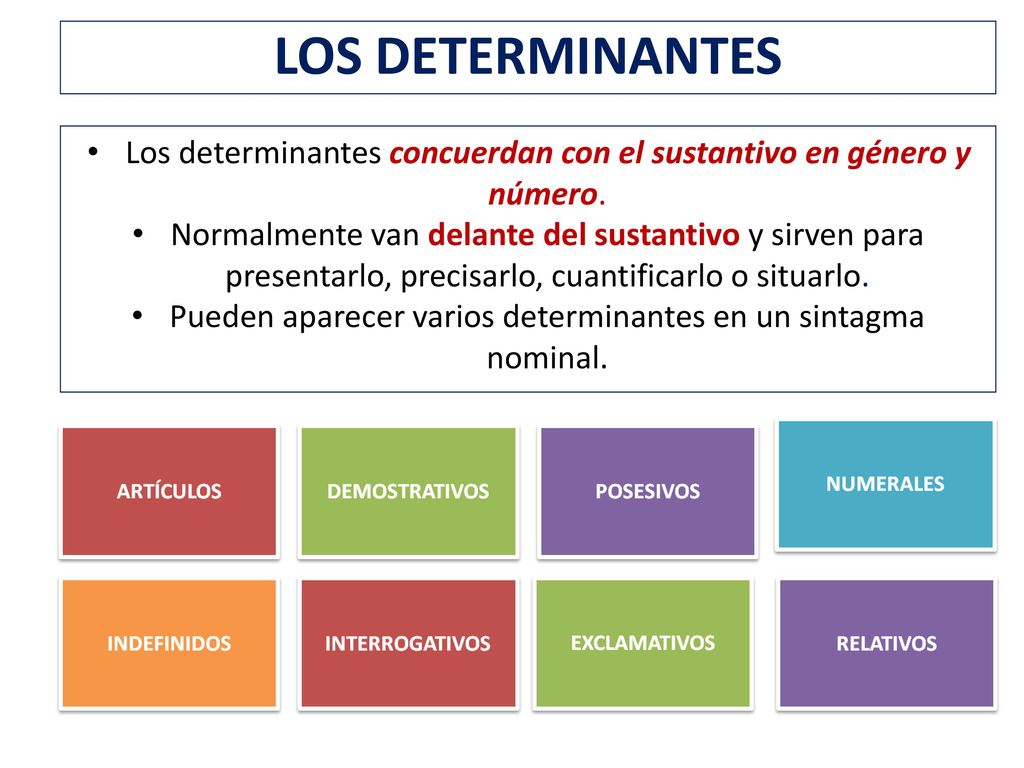 LOS DETERMINANTES Los determinantes concuerdan con el sustantivo en género y número.
