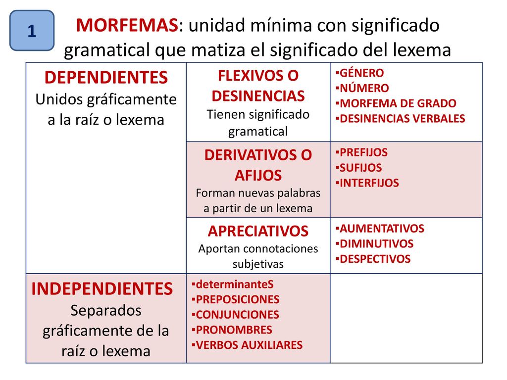 1 MORFEMAS: unidad mínima con significado gramatical que matiza el significado del lexema. DEPENDIENTES.