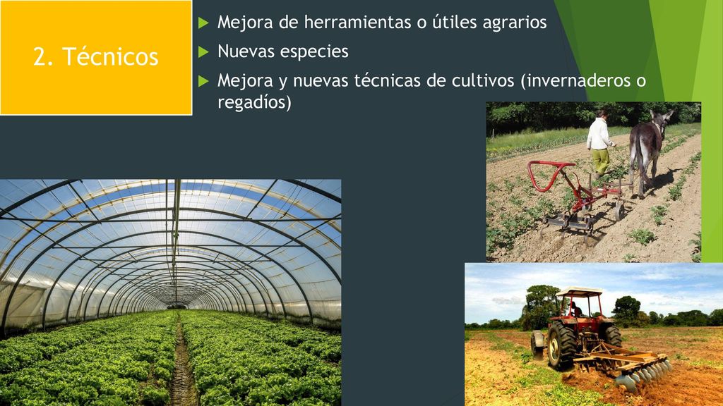 2. Técnicos Mejora de herramientas o útiles agrarios Nuevas especies