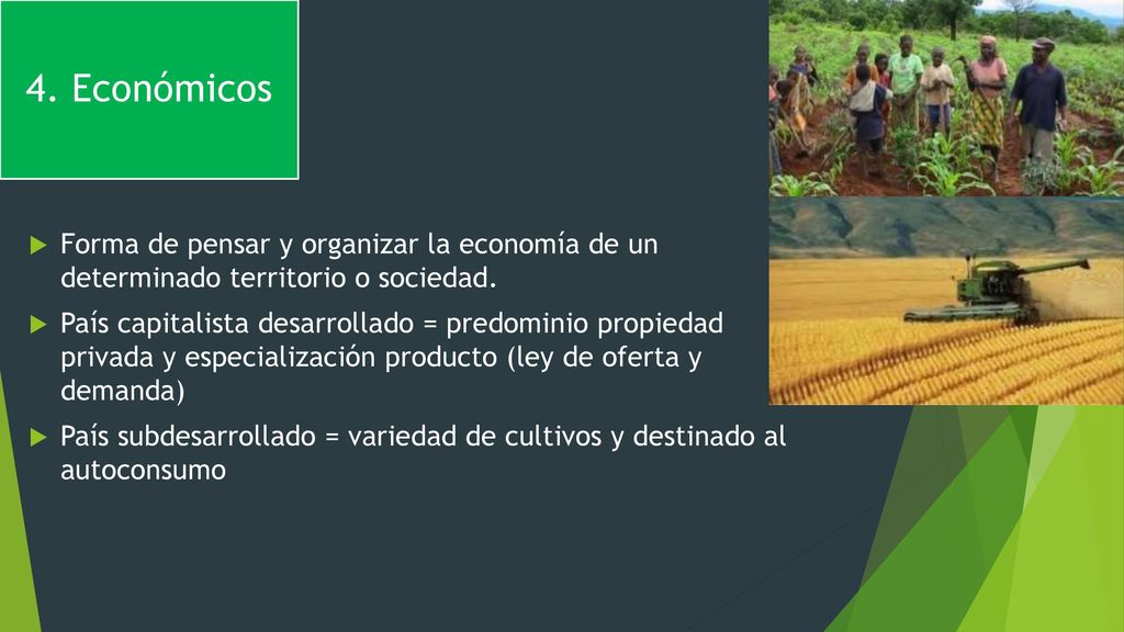 4. Económicos Forma de pensar y organizar la economía de un determinado territorio o sociedad.