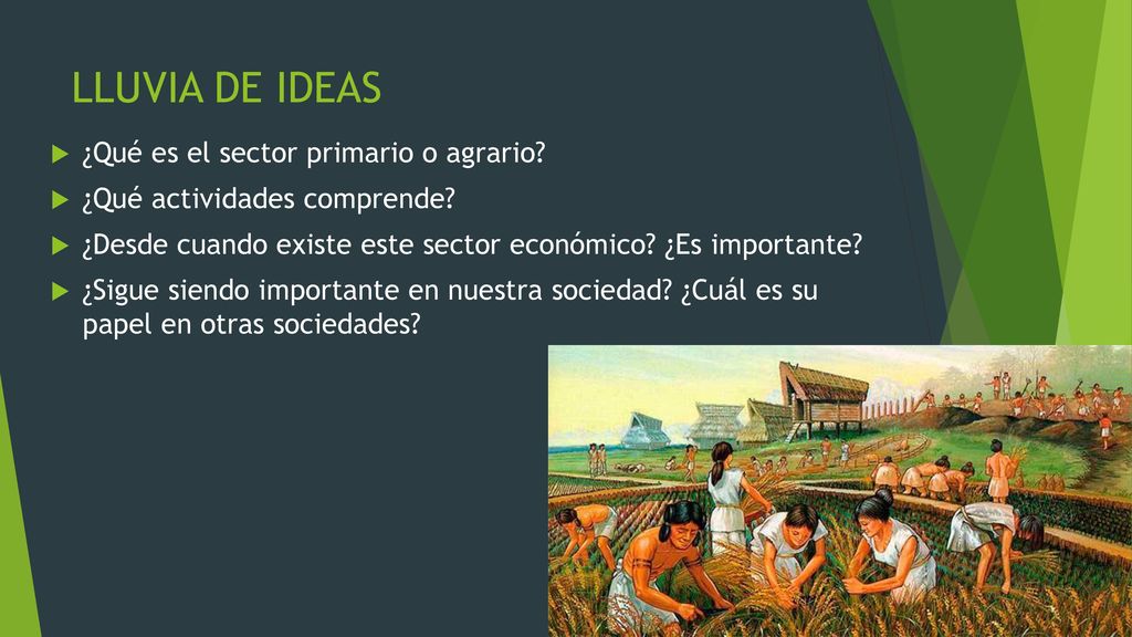 LLUVIA DE IDEAS ¿Qué es el sector primario o agrario