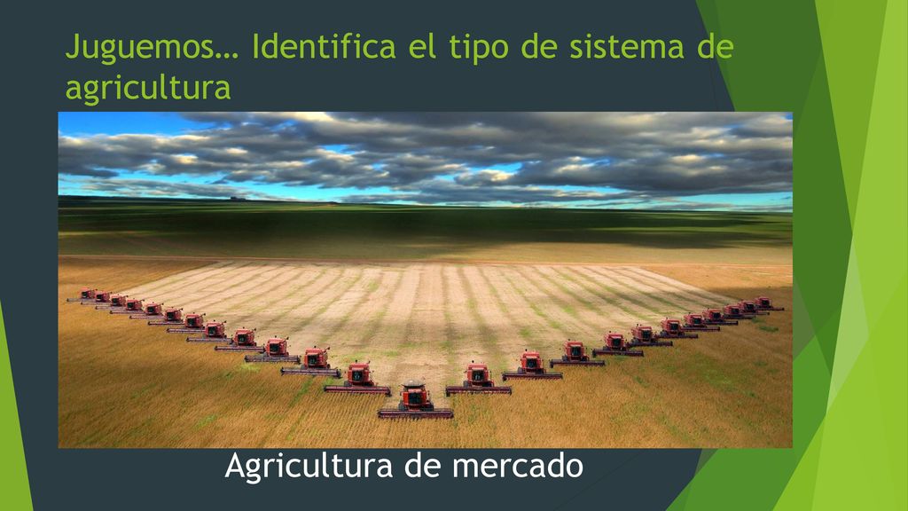 Juguemos… Identifica el tipo de sistema de agricultura