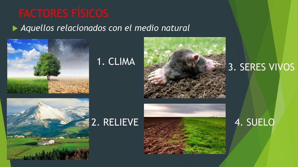 FACTORES FÍSICOS 1. CLIMA 3. SERES VIVOS 2. RELIEVE 4. SUELO
