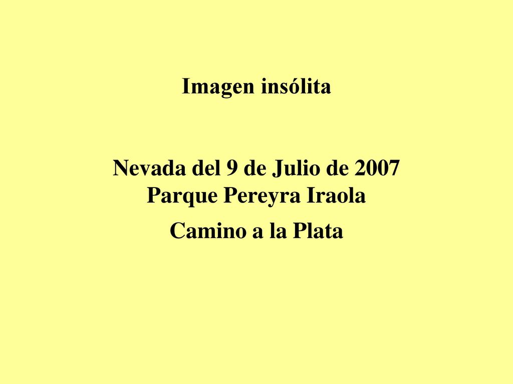 Imagen insólita Nevada del 9 de Julio de 2007 Parque Pereyra Iraola Camino a la Plata