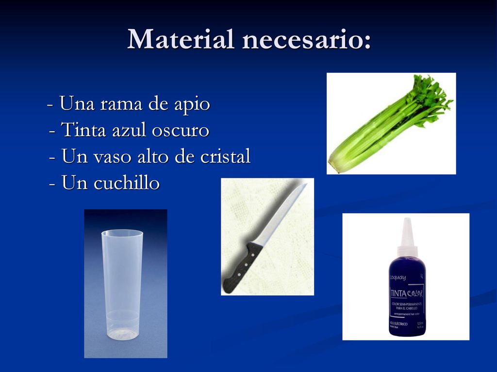 Material necesario: - Una rama de apio - Tinta azul oscuro - Un vaso alto de cristal - Un cuchillo