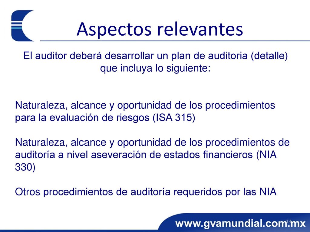 Aspectos relevantes El auditor deberá desarrollar un plan de auditoria (detalle) que incluya lo siguiente: