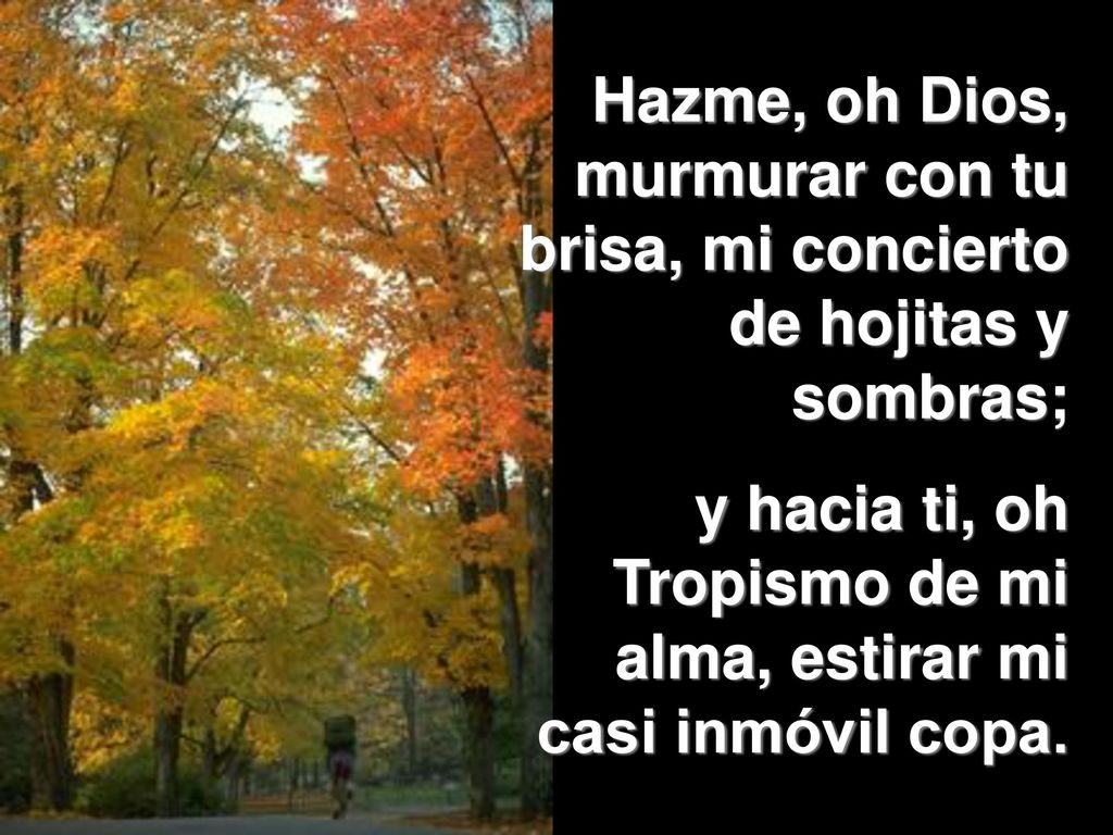 Hazme, oh Dios, murmurar con tu brisa, mi concierto de hojitas y sombras;
