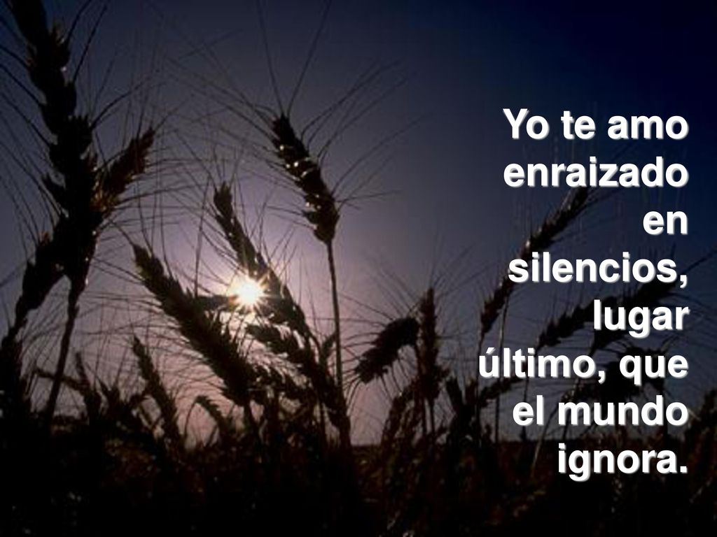 Yo te amo enraizado en silencios, lugar último, que el mundo ignora.