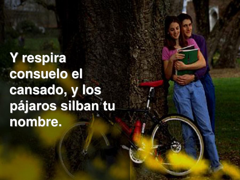 Y respira consuelo el cansado, y los pájaros silban tu nombre.