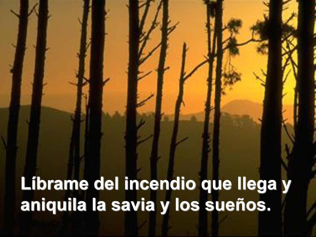 Líbrame del incendio que llega y aniquila la savia y los sueños.