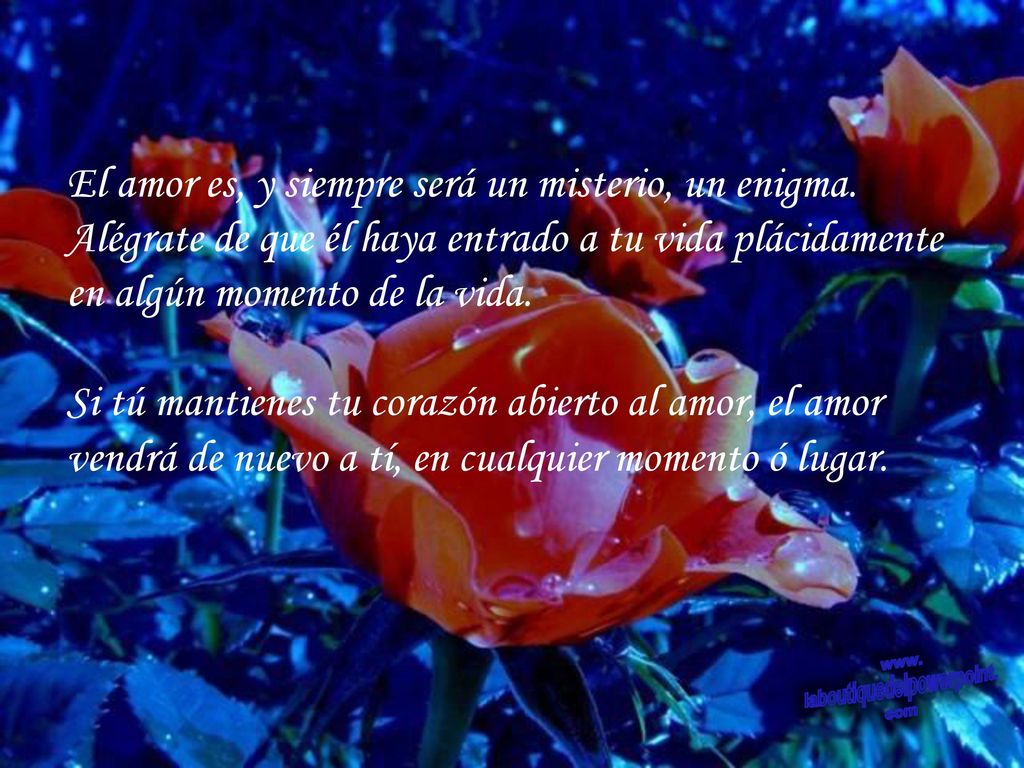El amor es, y siempre será un misterio, un enigma