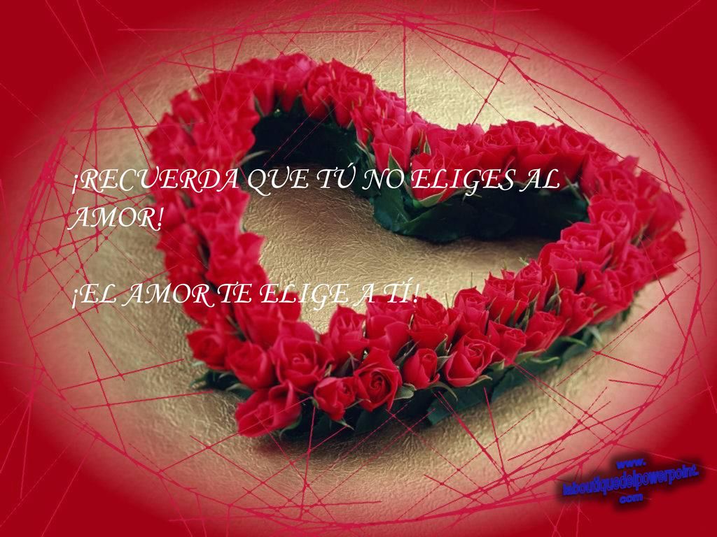 ¡RECUERDA QUE TÚ NO ELIGES AL AMOR! ¡EL AMOR TE ELIGE A TÍ!