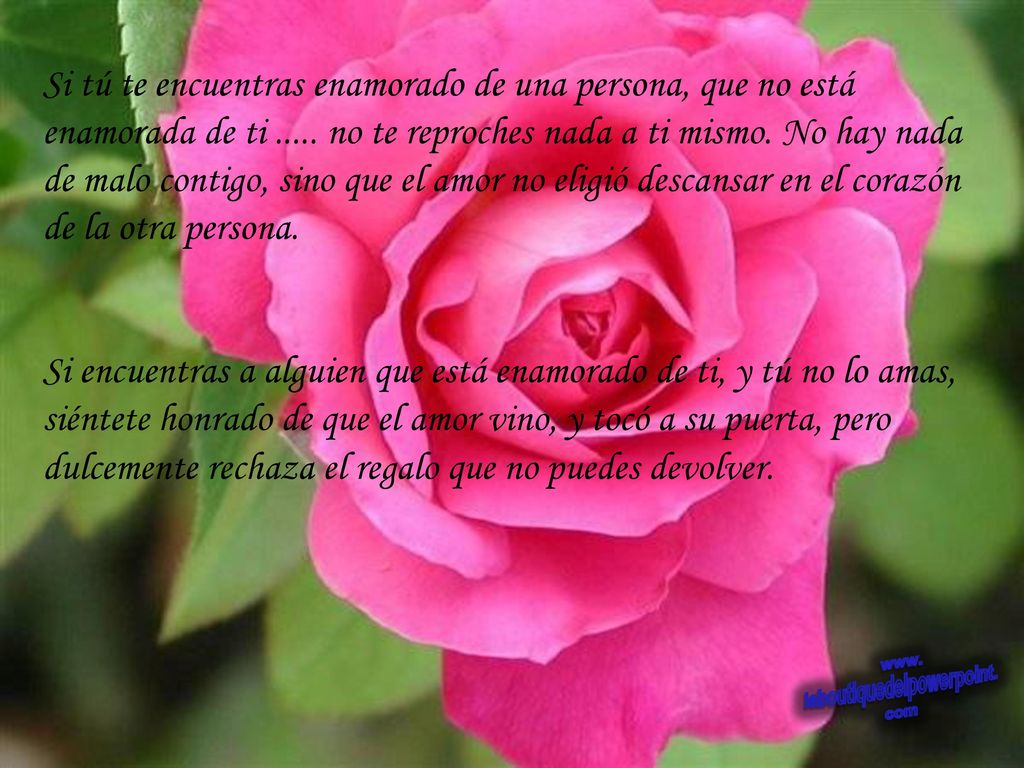 Si tú te encuentras enamorado de una persona, que no está enamorada de ti no te reproches nada a ti mismo. No hay nada de malo contigo, sino que el amor no eligió descansar en el corazón de la otra persona.