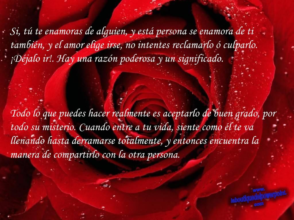 Si, tú te enamoras de alguien, y está persona se enamora de ti también, y el amor elige irse, no intentes reclamarlo ó culparlo. ¡Déjalo ir!. Hay una razón poderosa y un significado.