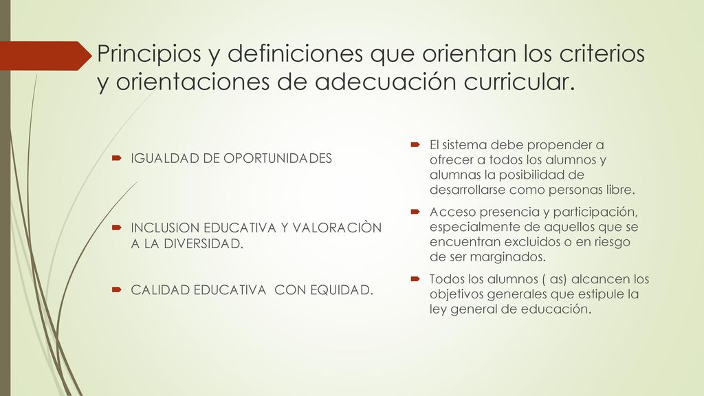 Principios y definiciones que orientan los criterios y orientaciones de adecuación curricular.