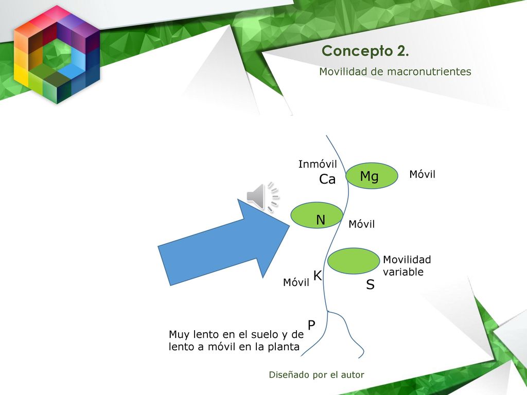 Concepto 2. Mg Ca N K S P Movilidad de macronutrientes Inmóvil Móvil