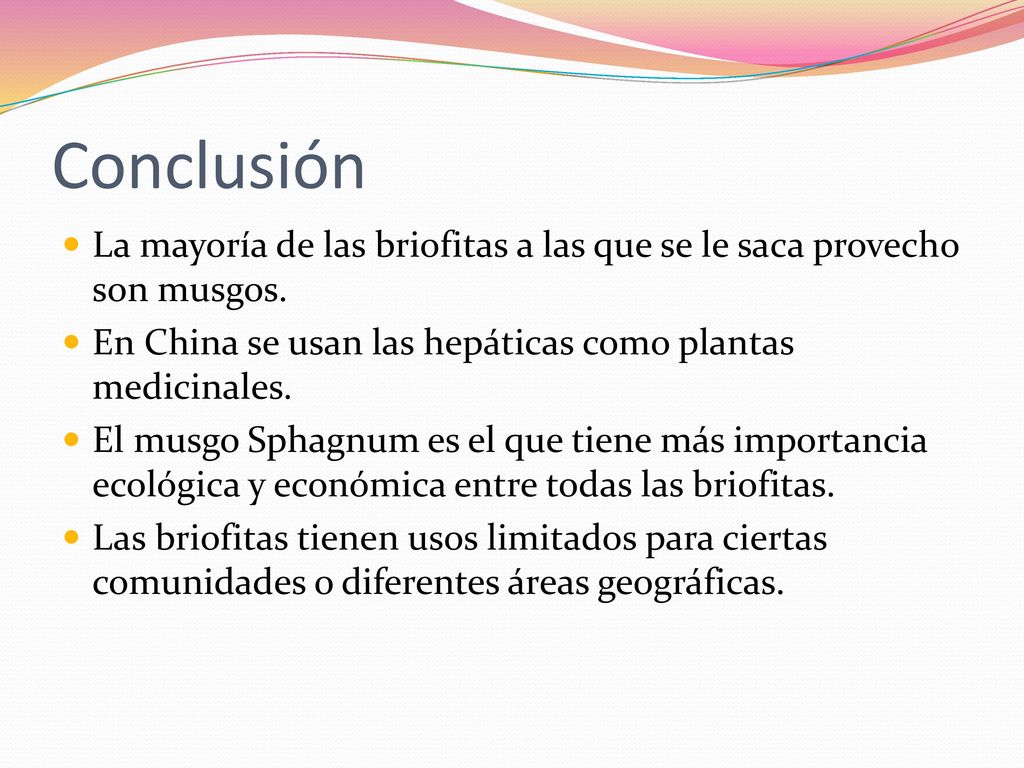 Conclusión La mayoría de las briofitas a las que se le saca provecho son musgos. En China se usan las hepáticas como plantas medicinales.