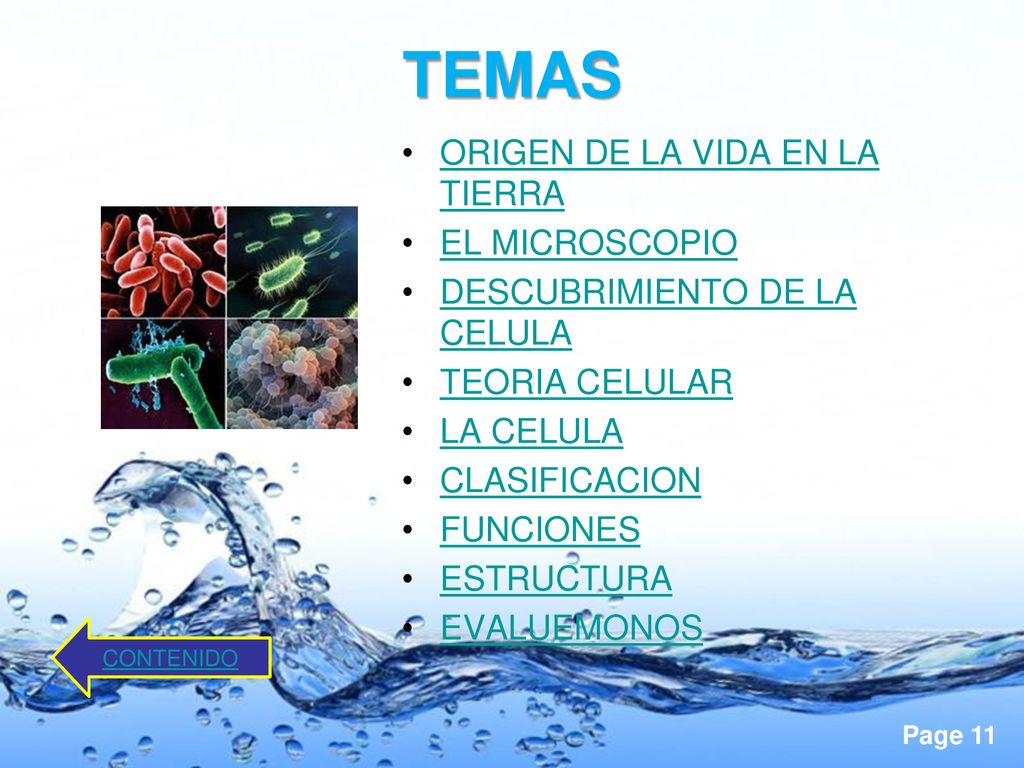 TEMAS ORIGEN DE LA VIDA EN LA TIERRA EL MICROSCOPIO